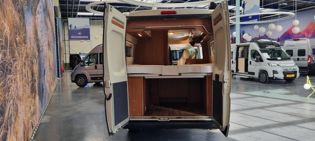 globecar-campscout-b-9